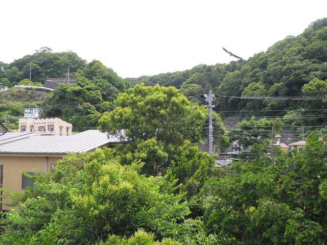 清水邸 その他5