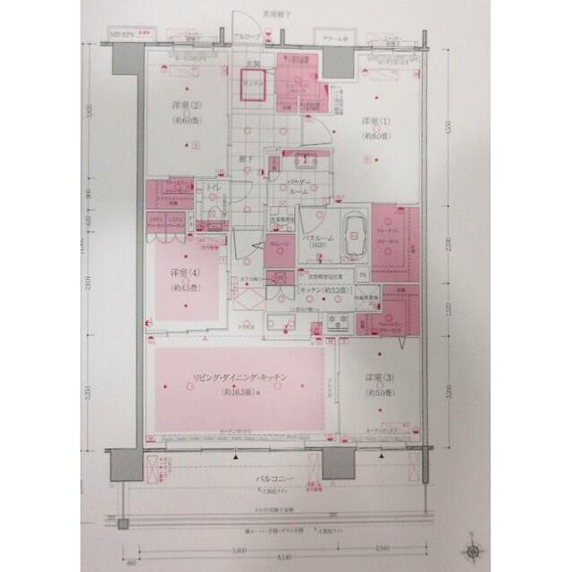 エクセレントシティ本厚木駅前 1507号室 間取り