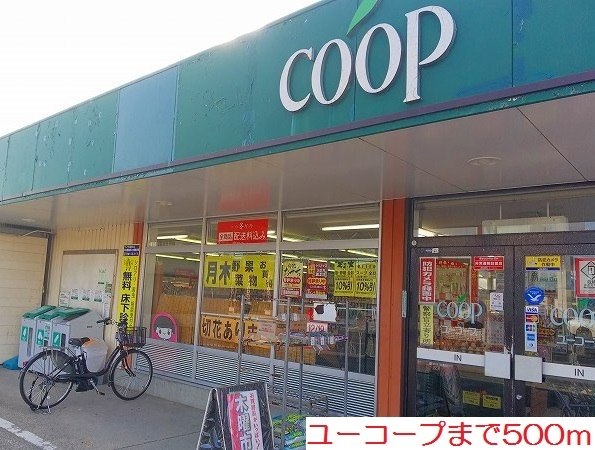 プラティーヌ その他外観1