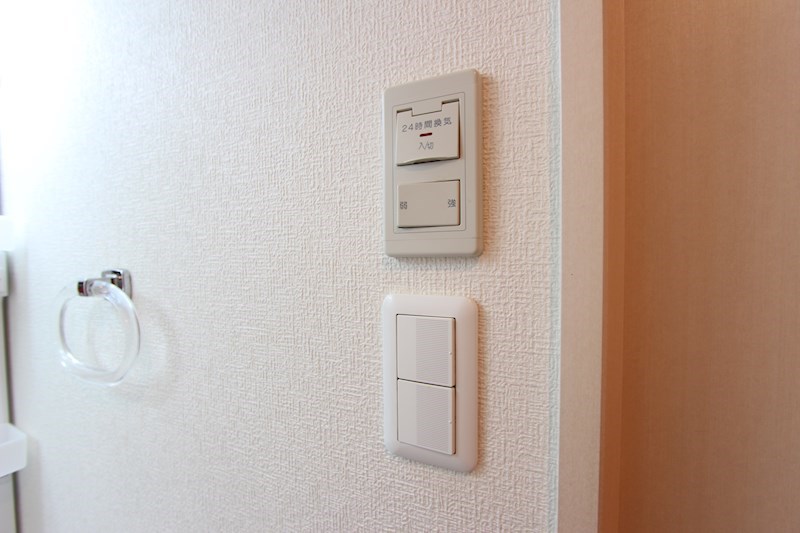 セレスティアル　アスカ その他