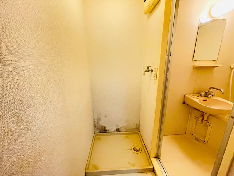グリーンハイツ 洗面所
