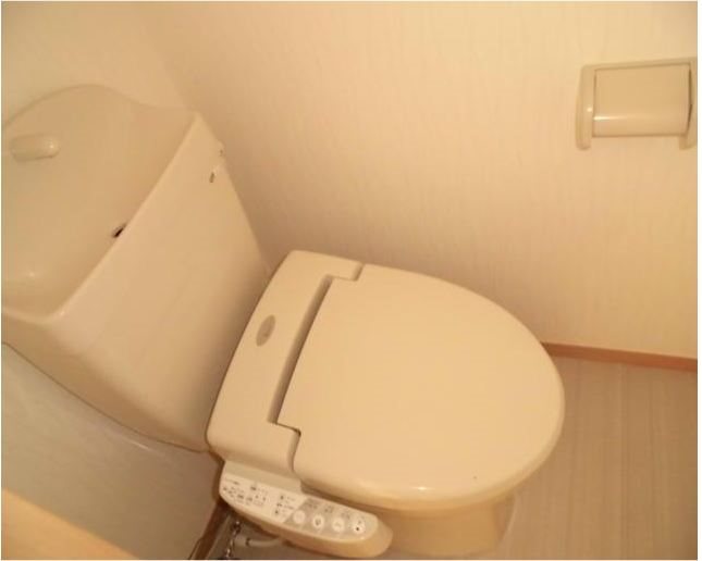 WH-L その他4