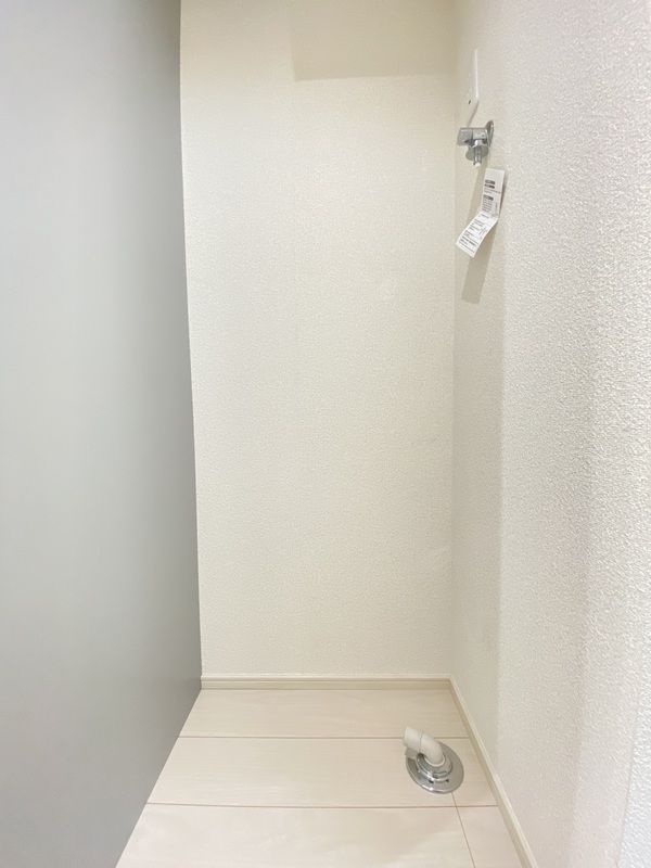 アイビー　Ⅴ その他4