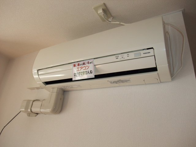 白鷺　（しらさぎ） その他5
