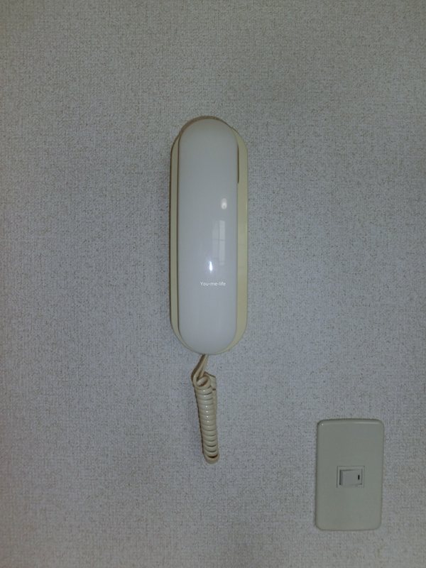 ブルースカイ湘南 その他