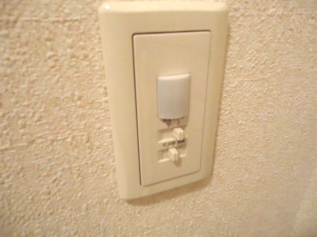 ベリーランズ その他12