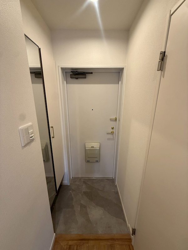 ナイスアーバン藤沢 玄関