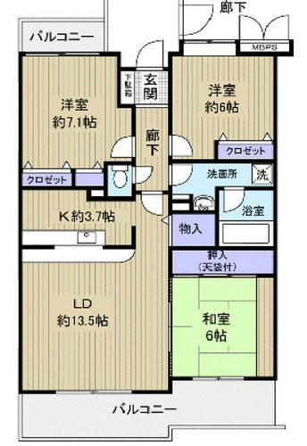 ライブヒル天神 302号室 間取り