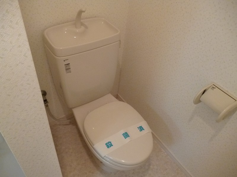 ラティアス その他1