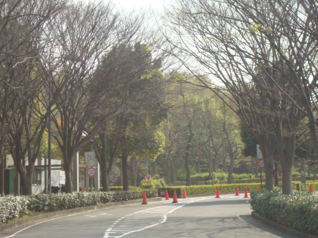 リバティふじＢ その他