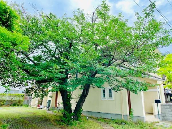 神奈川県茅ヶ崎市東海岸南３丁目4-25-6 その他