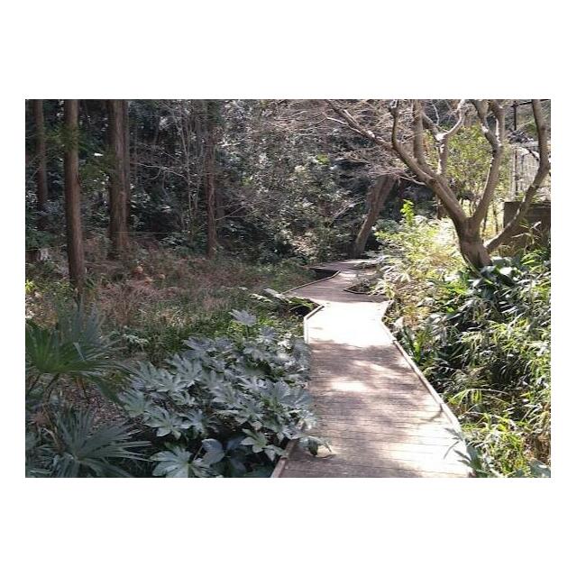 ヒルズ南戸塚 公園