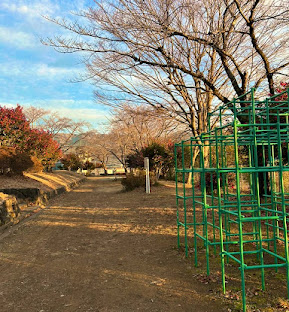 フレグランス渋沢Ⅲ 周辺画像6