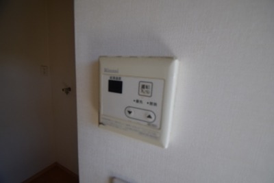 ロック・フィールド水引 その他5