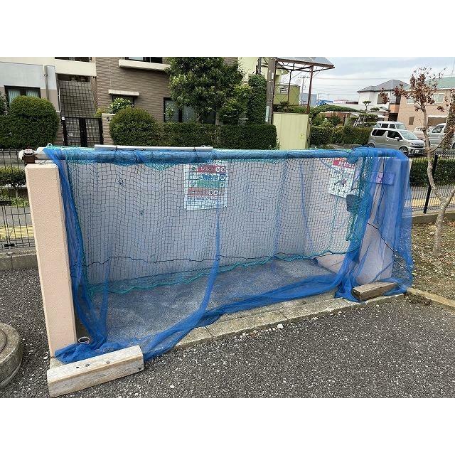 ブロメリア その他7