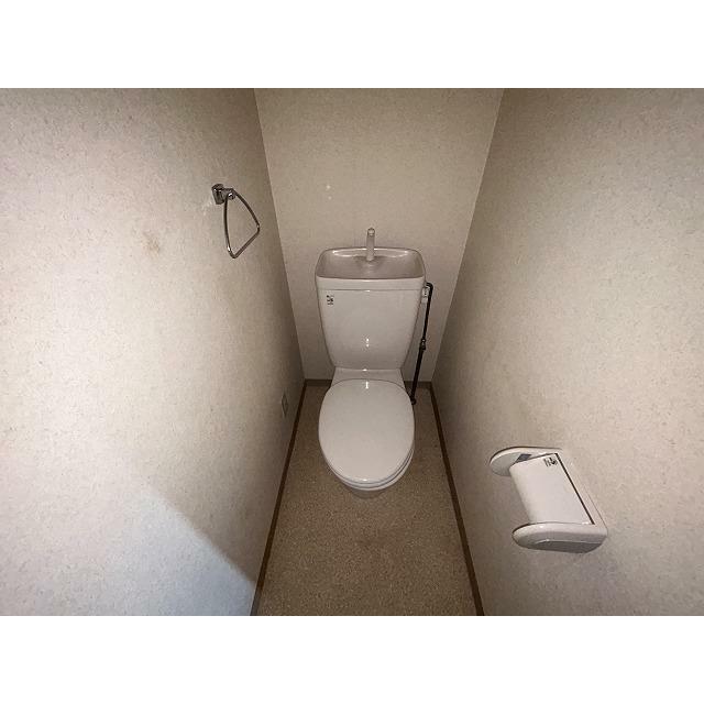 ブロメリア その他1