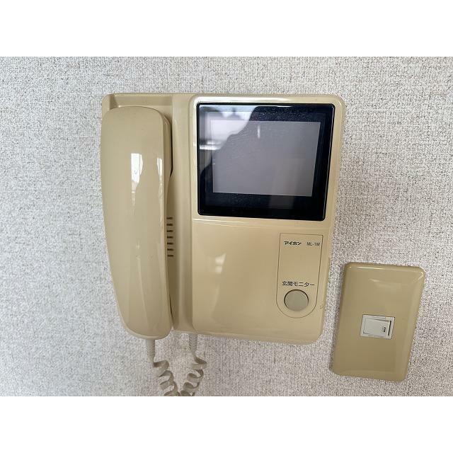 ブロメリア その他3
