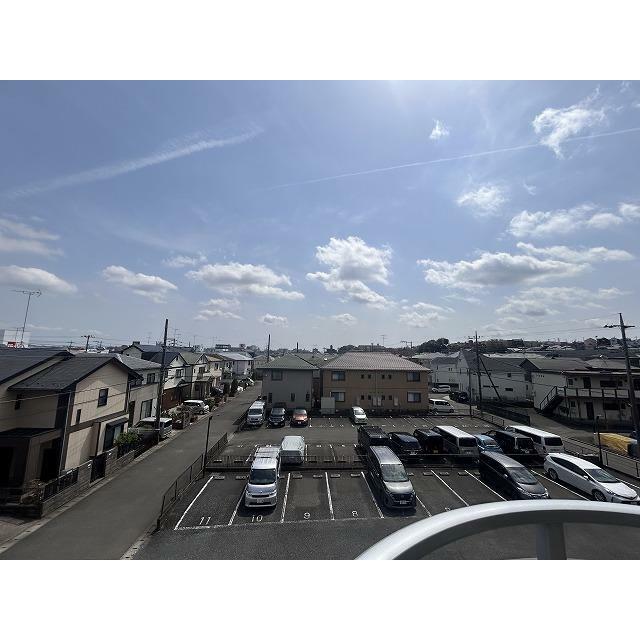 ブロメリア その他外観4