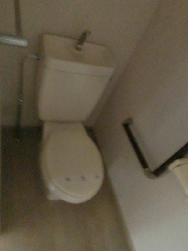 アムール トイレ