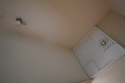 グレープ・シュライン　K その他4