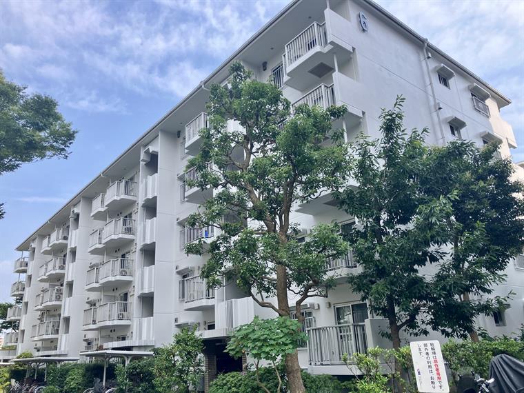 辻堂駅前ハイツ6号棟 501号室 外観