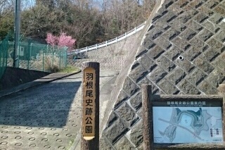 エアリーメロウ その他外観5
