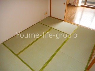 ライオンズプラザ平塚見附町  その他6
