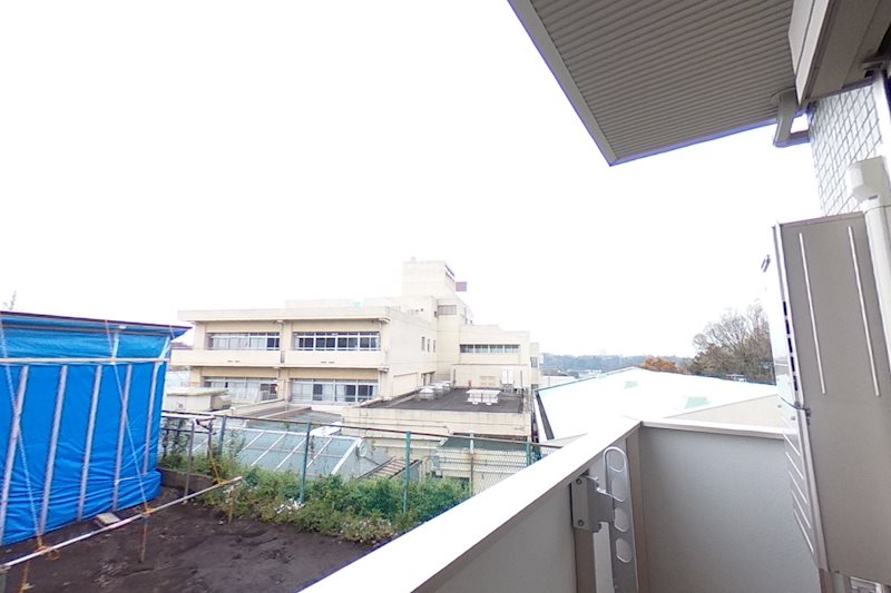 セレナオモダカ 眺望