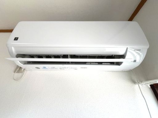 その他13
