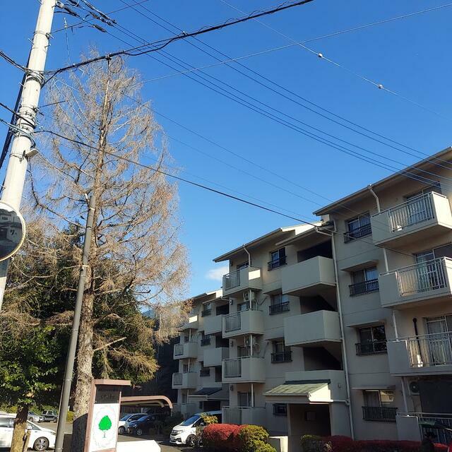 森の里くすのき台団地１号棟の物件画像1