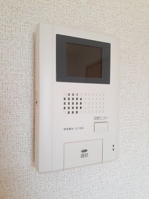 ヴァーミリオン　コスゲ その他6