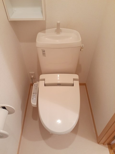 ヴァーミリオン　コスゲ その他4