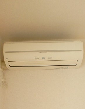 ヴァーミリオン　コスゲ その他4