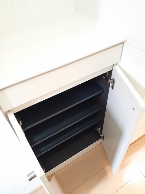 プラシード その他