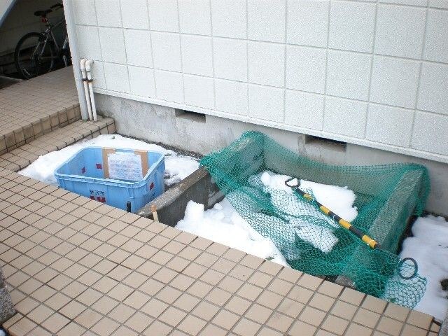 ウェルメゾン湘南 その他外観2