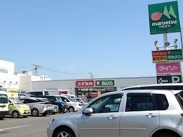シャイン　アイリス その他外観6