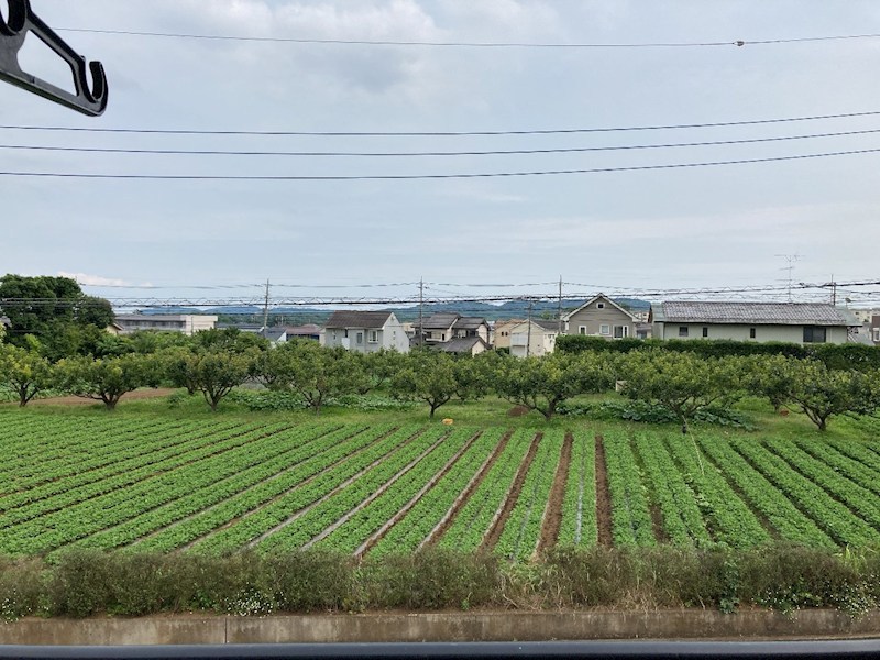 サニー・ＳＨＩＺＵ その他5