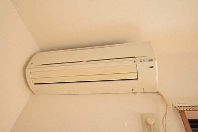 バロン  その他1