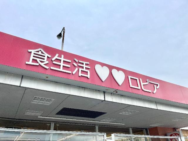 クレサンテーム その他