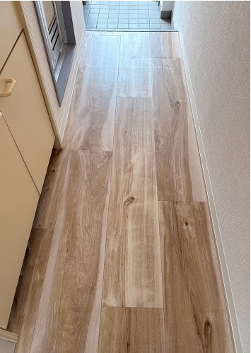 ニッショウV  の写真12