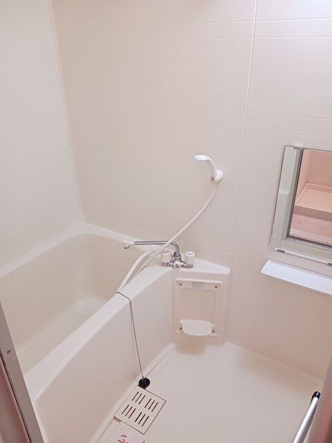 シェーネスハウゼ 風呂画像