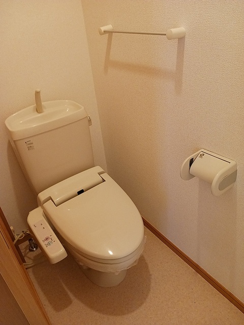 パーシモンⅠ その他1