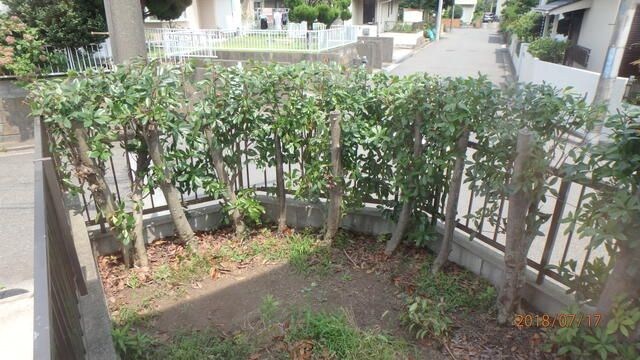 チェルシー港南台 その他4