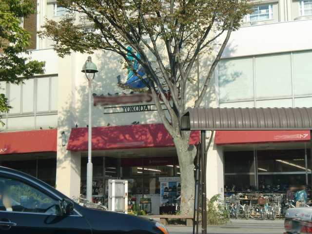ATB 錦衣 その他外観3