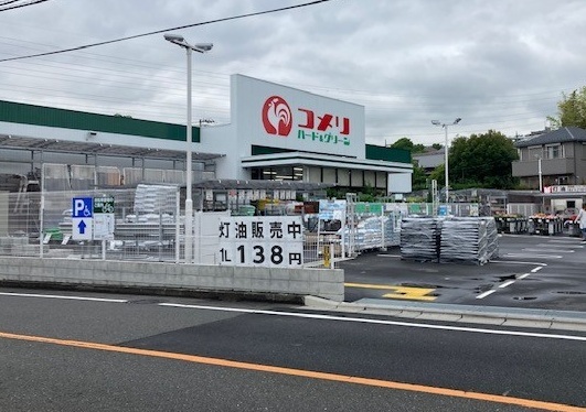 シナモン その他外観6