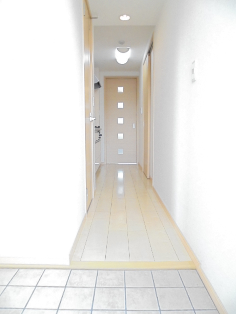 エクレセンス新富 玄関