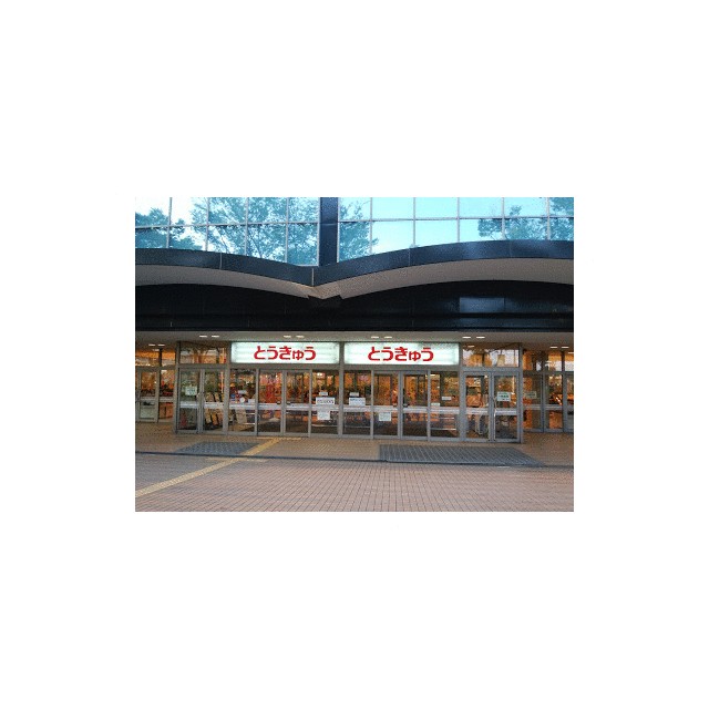 インペリアル湘南Ⅱ ショッピング施設