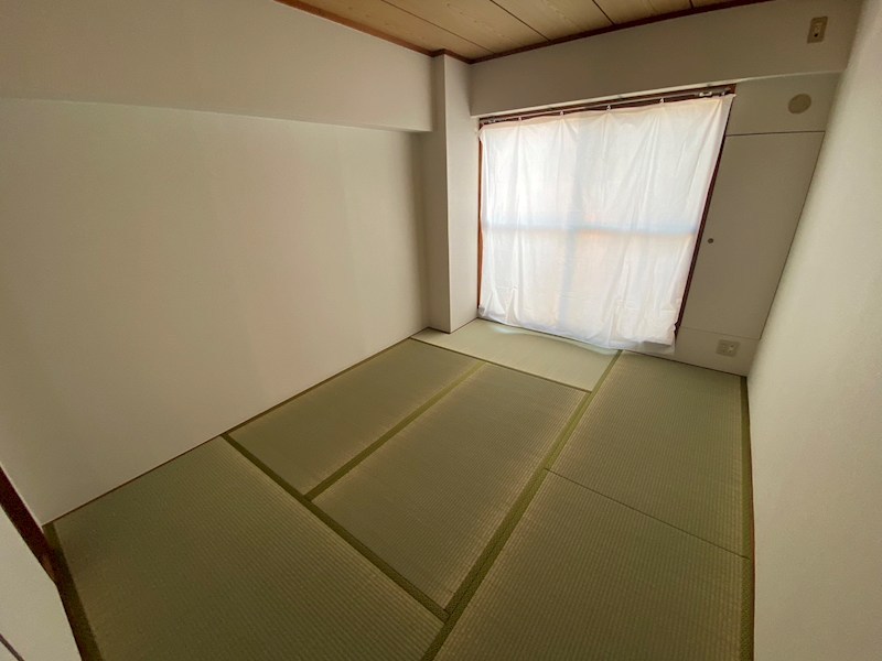 ダンデライアン鵠沼 その他