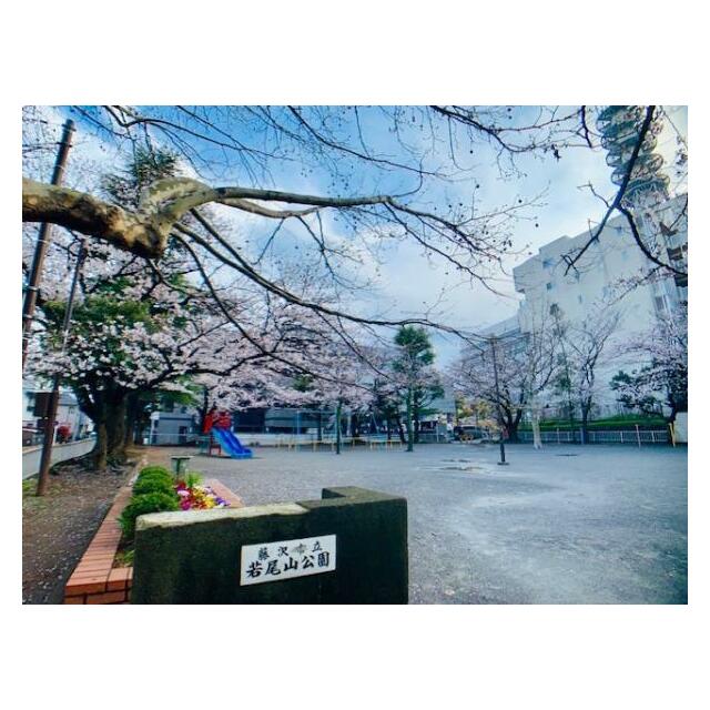 若尾山ハイツ その他