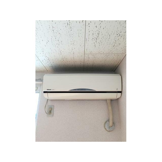 ルーメン その他